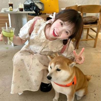 窥情国语